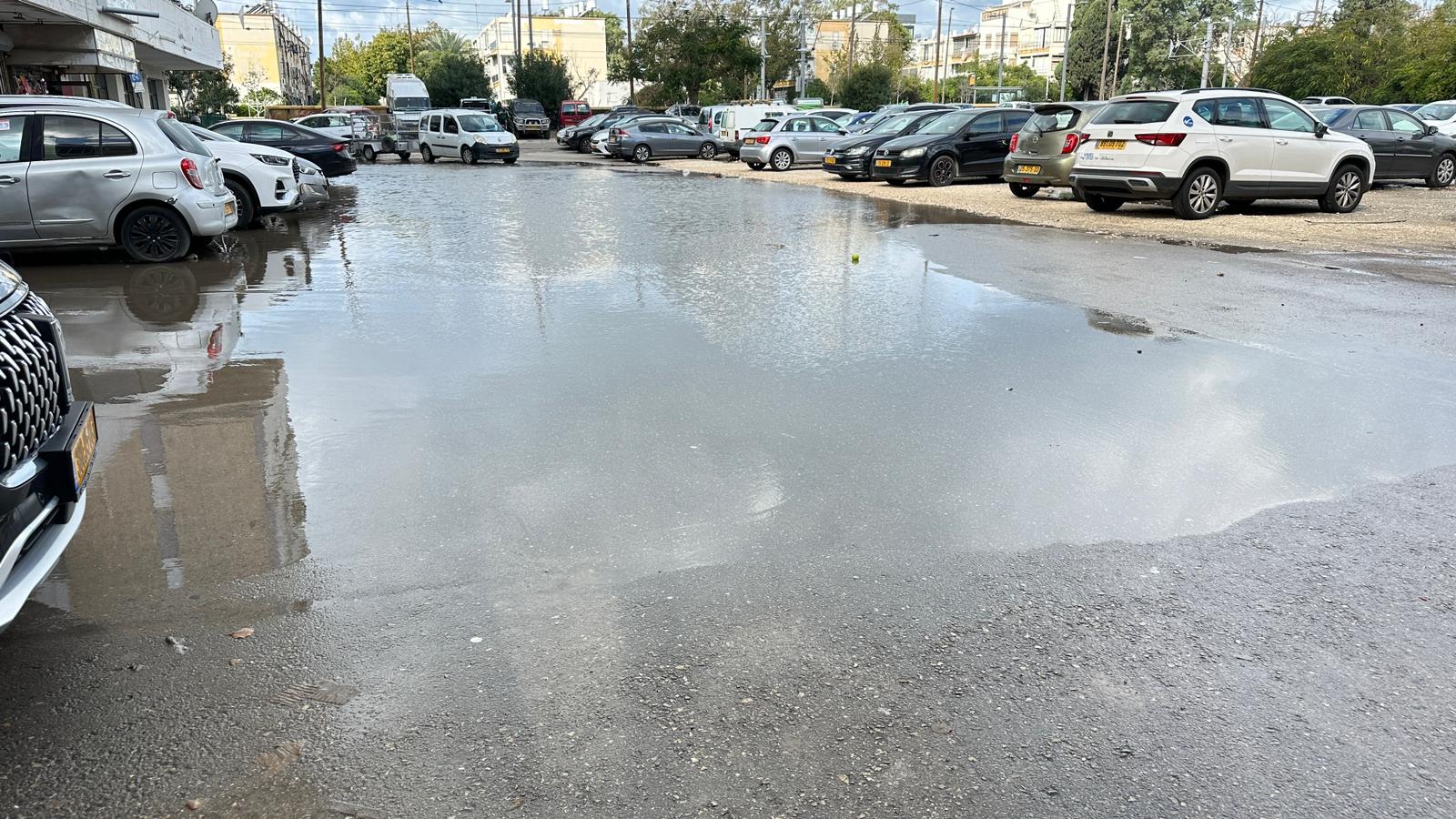 WhatsApp Image 2024-01-30 at 19.11.11 (1).jpeg